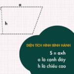 Tính Diện Tích Hình Bình Hành